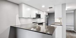 Available NOW! 1 Bedroom 1 Bath Beautiful Condo in Denver! Gallery 3