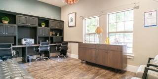 The Palmera Gallery 30