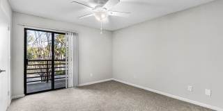 Sabal Palm at Lake Buena Vista Gallery 15