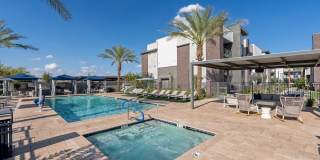 The Aster at Mountain Vista - BRAND NEW Gallery 21