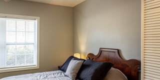 4851 Timberland Drive Gallery 1