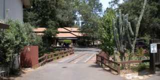 Hillgrove Creek Gallery 13