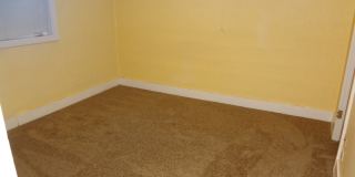 Garden Level 2 Bedroom Apartment right near D.U. Gallery 8