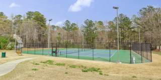 2036 Turtle Point Drive Gallery 20