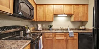 Signal Pointe Gallery 1