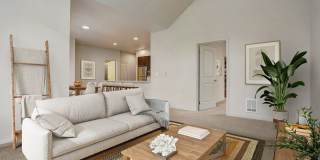 The Lodge Gallery 26