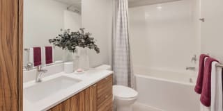 CityLine Gallery 19
