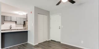 White Pines Gallery 16