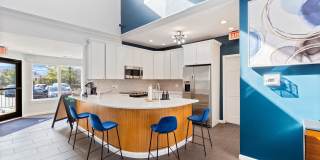 Steeplechase Gallery 29