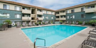 Ocean Crest Gallery 24