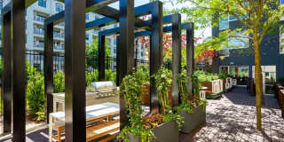 Apex Manayunk Gallery 50