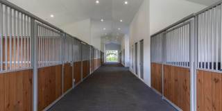2889 Appaloosa Trail Gallery 32