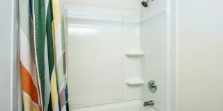 Vivo Living North Woods Gallery 24