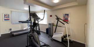 Windmill Gallery 48