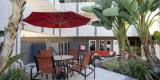 South Olive Gallery 18