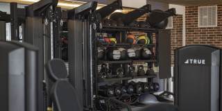 The Whitley Gallery 22