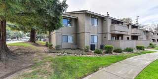 Greenback Gardens Gallery 5