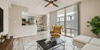 Rise Biltmore Gallery 9