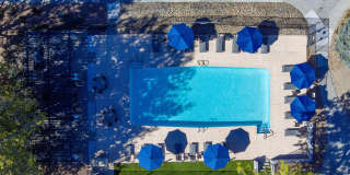 Montecito at Northeast Heights Gallery 4