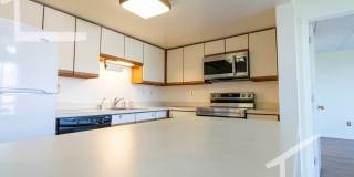 Huge 2 bed in Allston Gallery 7