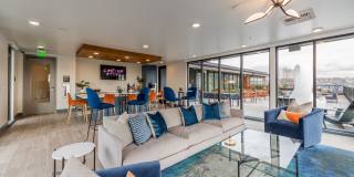 Center Steps Center Steps Gallery 14