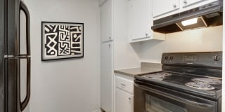 Royal Breeze Gallery 47