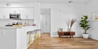 The Elinor Gallery 36