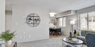 The Maxwell Gallery 21