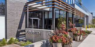 Xavier Gallery 20
