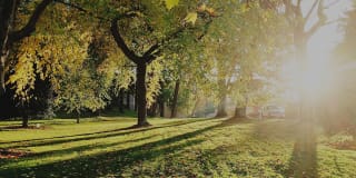 Corte Bella Gallery 27