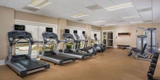 Evergreens at Laurel Gallery 9