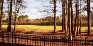 1513 Kudrow Lane Gallery 29