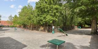 Banyan Grove Gallery 10