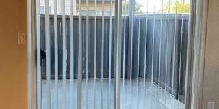 Carmel Woods Gallery 4