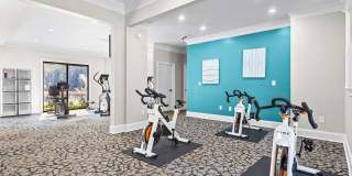 Lake St. James Gallery 8