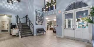 10X Port Royale 10X Port Royale Gallery 23