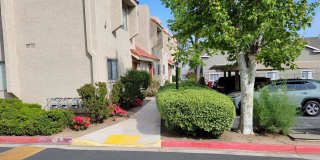 Sierra Vista Gallery 22