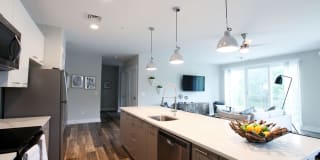 Excelsior Park Gallery 37