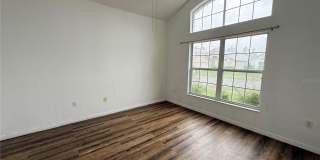 2918 BLOOMING ALAMANDA Loop Gallery 9