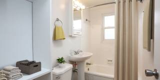 Central Park Gallery 5