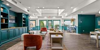 505 Collection Gallery 50