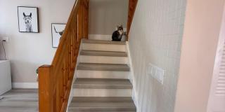 1120 W Lakes Drive Gallery 8