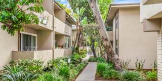 West Park Village Gallery 17