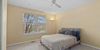 21877 ELKINS Terrace Gallery 15