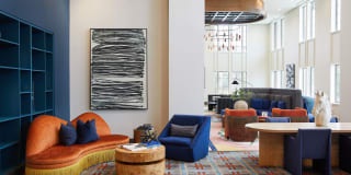 The Asher The Asher Gallery 9