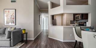 Monte Vista Gallery 13