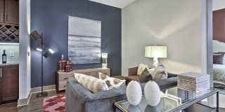 The Collection Gallery 8