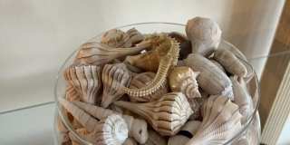 5880 Midnight Pass Road Gallery 27