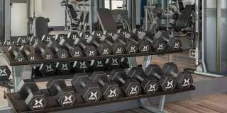 Cortland on Orange Gallery 20