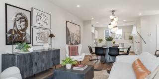 Welcome to The Becanni! Gallery 14